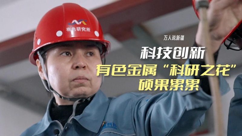 SaaS平台二次开发定制服务